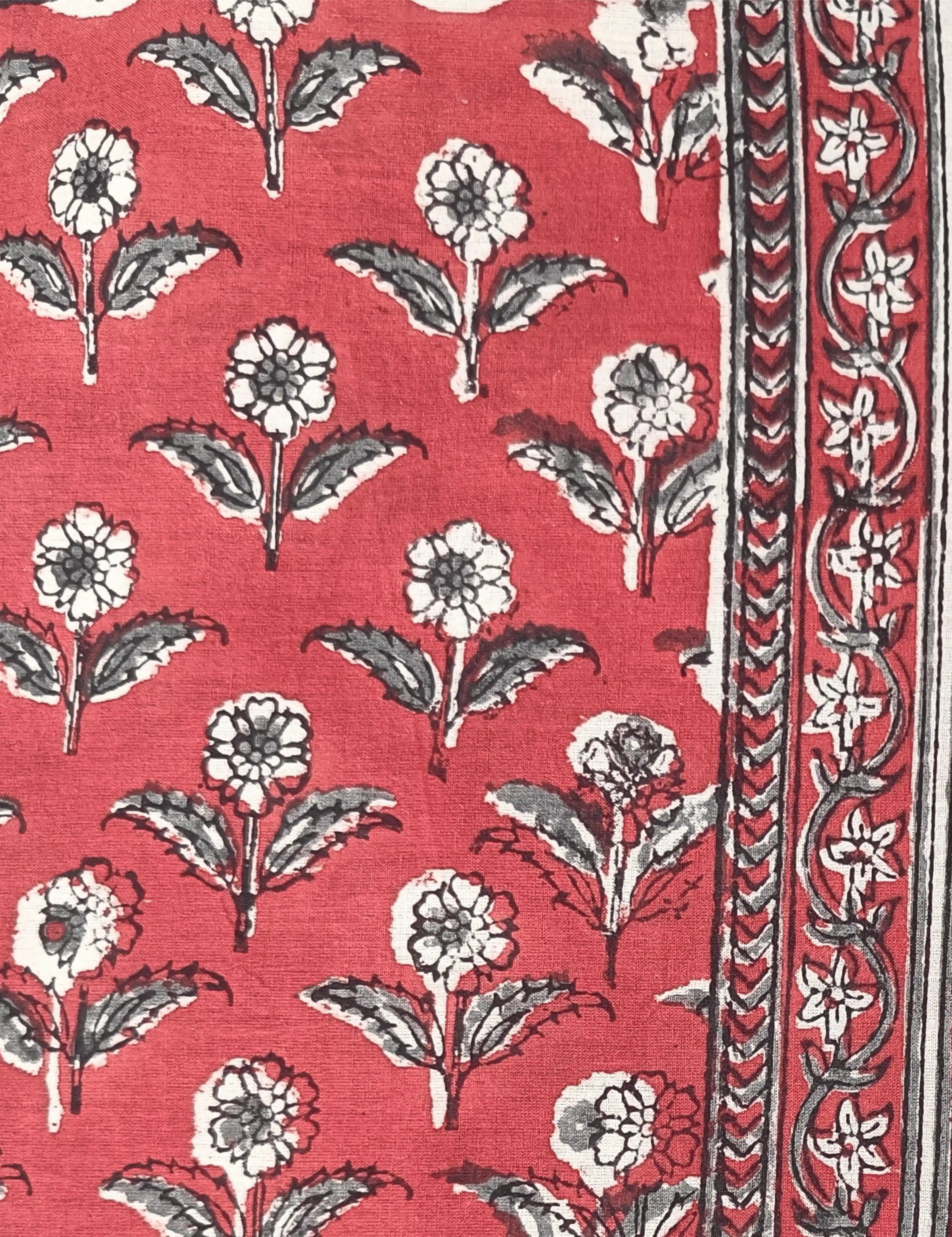 Indus Red Bagru Saree