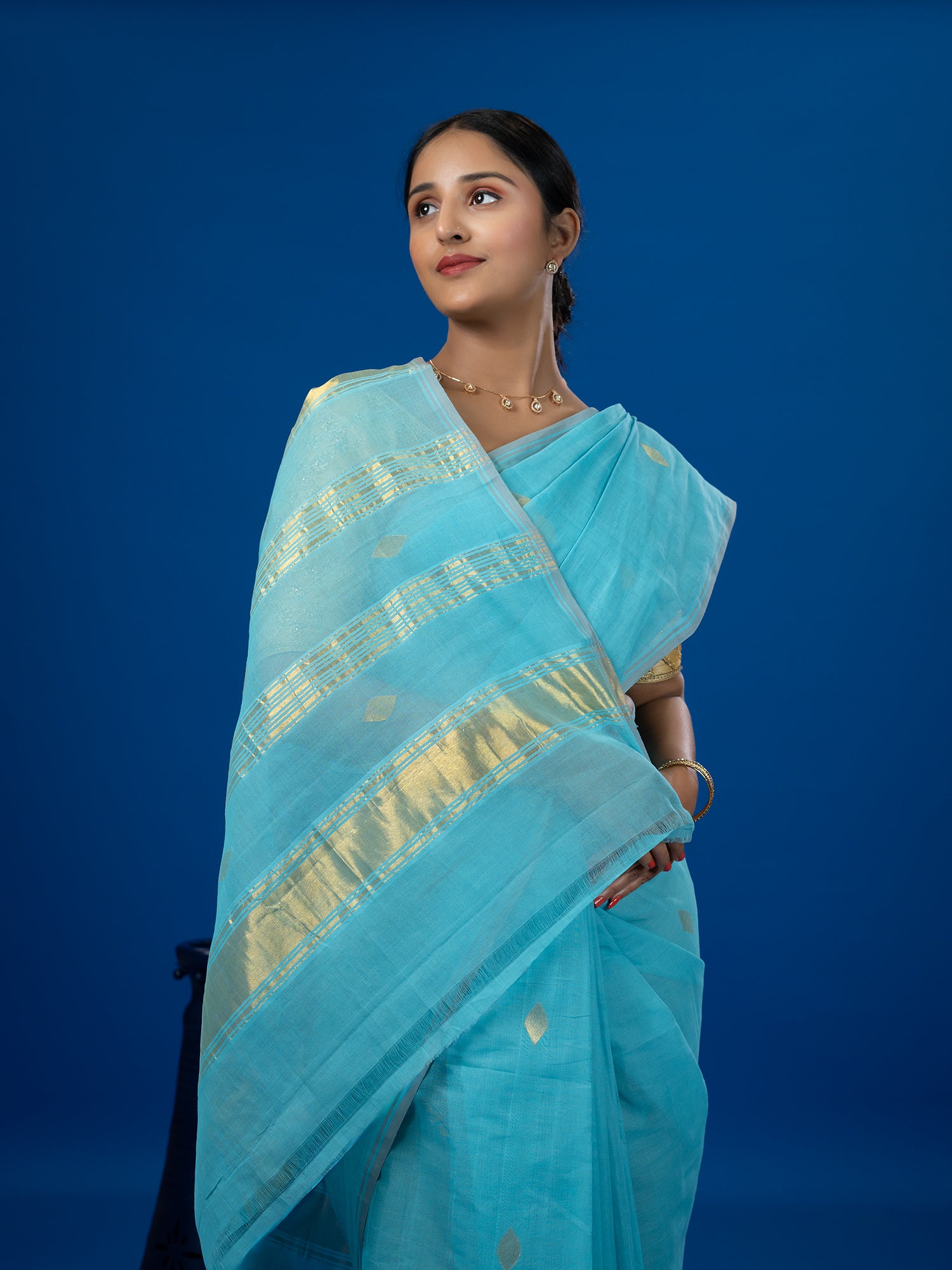 Jharna Sky Blue Venkatagiri Saree