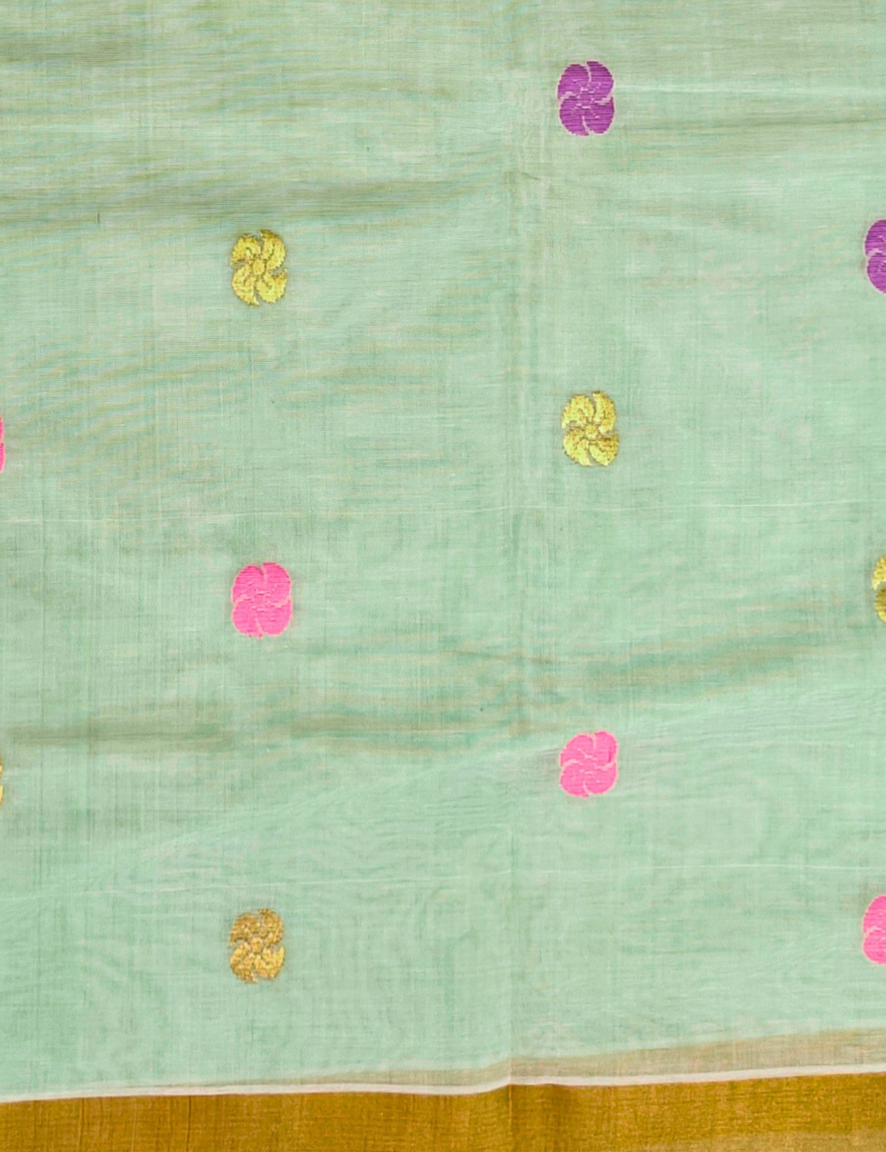 Sudarshan Pista Venkatagiri Saree